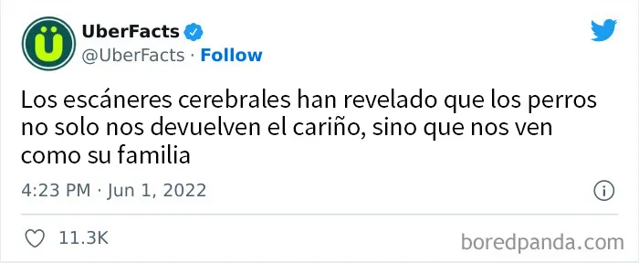 20 Interesantes datos aleatorios compartidos en esta popular cuenta de Twitter (nuevas imágenes)