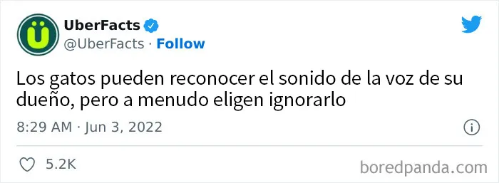20 Interesantes datos aleatorios compartidos en esta popular cuenta de Twitter (nuevas imágenes)