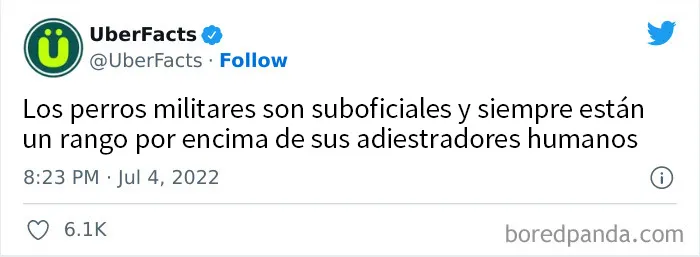 20 Interesantes datos aleatorios compartidos en esta popular cuenta de Twitter (nuevas imágenes)
