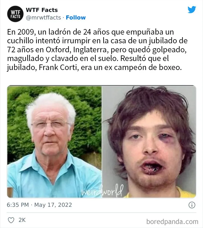 20 Datos al azar que parecen falsos pero no lo son, compartidos en esta cuenta de Twitter (nuevas imágenes)