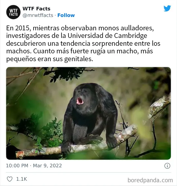 20 Datos al azar que parecen falsos pero no lo son, compartidos en esta cuenta de Twitter (nuevas imágenes)