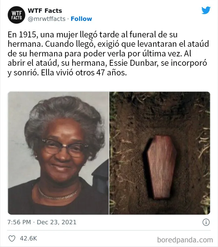 20 Datos al azar que parecen falsos pero no lo son, compartidos en esta cuenta de Twitter (nuevas imágenes)