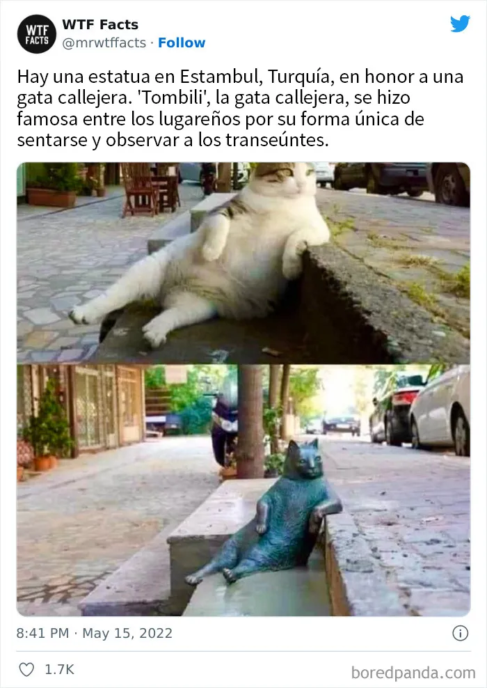 20 Datos al azar que parecen falsos pero no lo son, compartidos en esta cuenta de Twitter (nuevas imágenes)