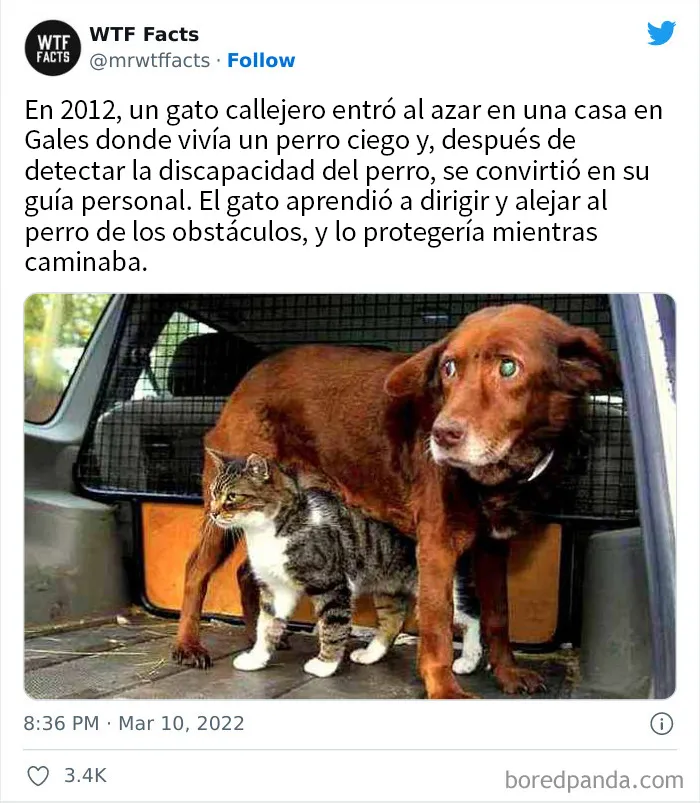20 Datos al azar que parecen falsos pero no lo son, compartidos en esta cuenta de Twitter (nuevas imágenes)