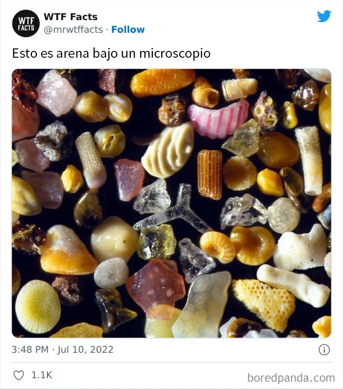 20 Datos al azar que parecen falsos pero no lo son, compartidos en esta cuenta de Twitter (nuevas imágenes)