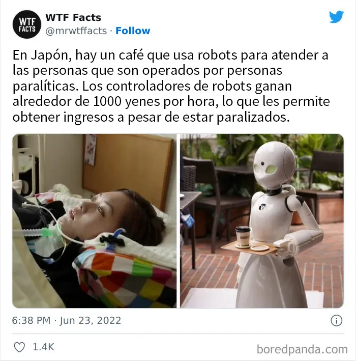 20 Datos al azar que parecen falsos pero no lo son, compartidos en esta cuenta de Twitter (nuevas imágenes)