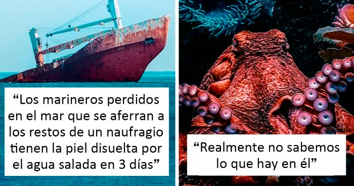 20 Datos espeluznantes sobre el océano que desearías no saber, compartidos en este hilo online