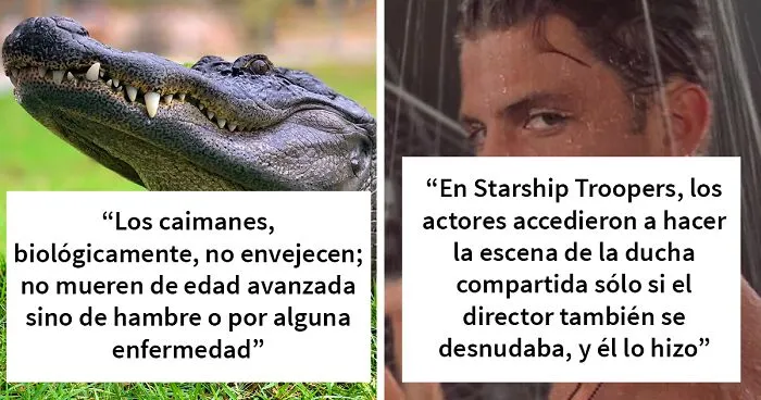 25 Datos curiosos que nadie preguntó