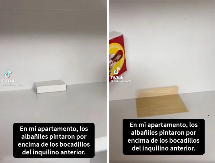 Ya pinté los estantes, jefe