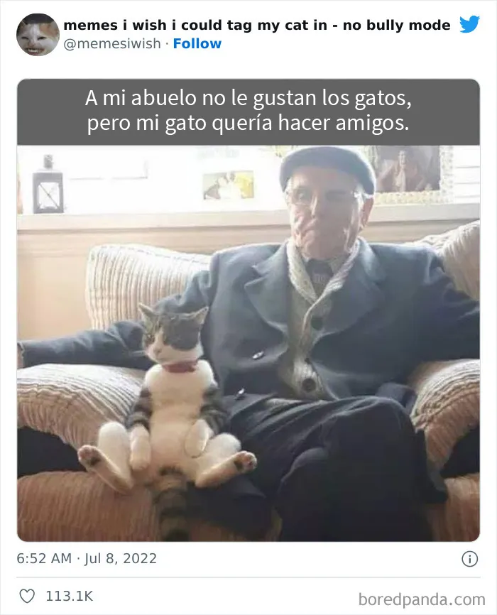 20 “Memes en los que me gustaría poder etiquetar a mi gato” compartidos en esta cuenta de Twitter (imágenes nuevas)