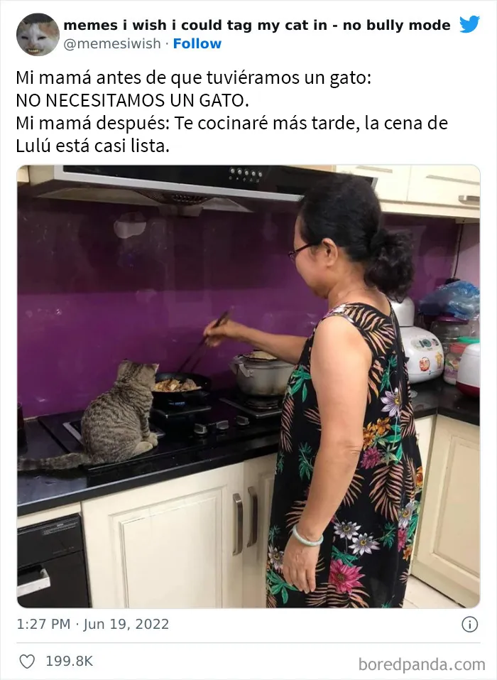 20 “Memes en los que me gustaría poder etiquetar a mi gato” compartidos en esta cuenta de Twitter (imágenes nuevas)