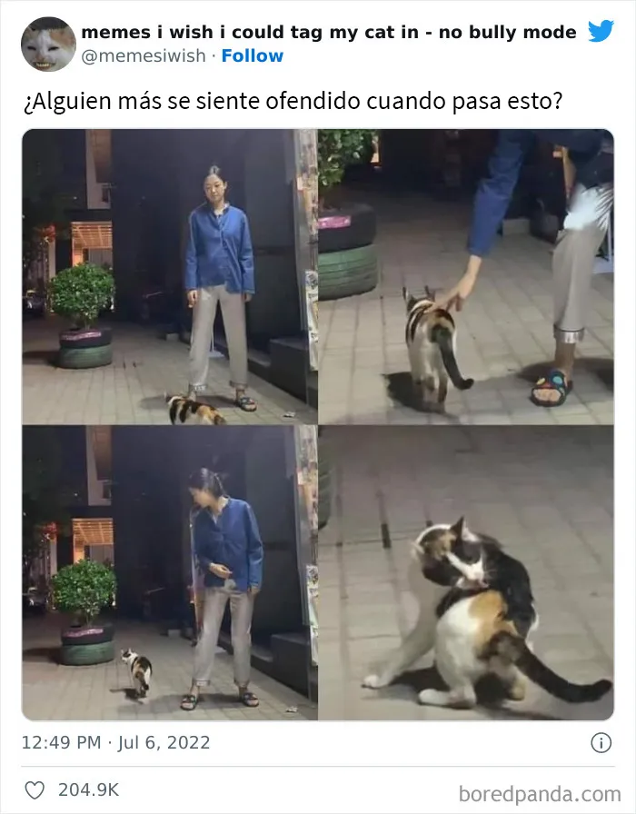 20 “Memes en los que me gustaría poder etiquetar a mi gato” compartidos en esta cuenta de Twitter (imágenes nuevas)