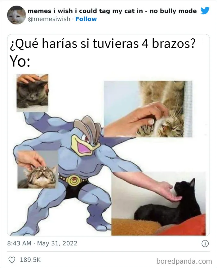 20 “Memes en los que me gustaría poder etiquetar a mi gato” compartidos en esta cuenta de Twitter (imágenes nuevas)
