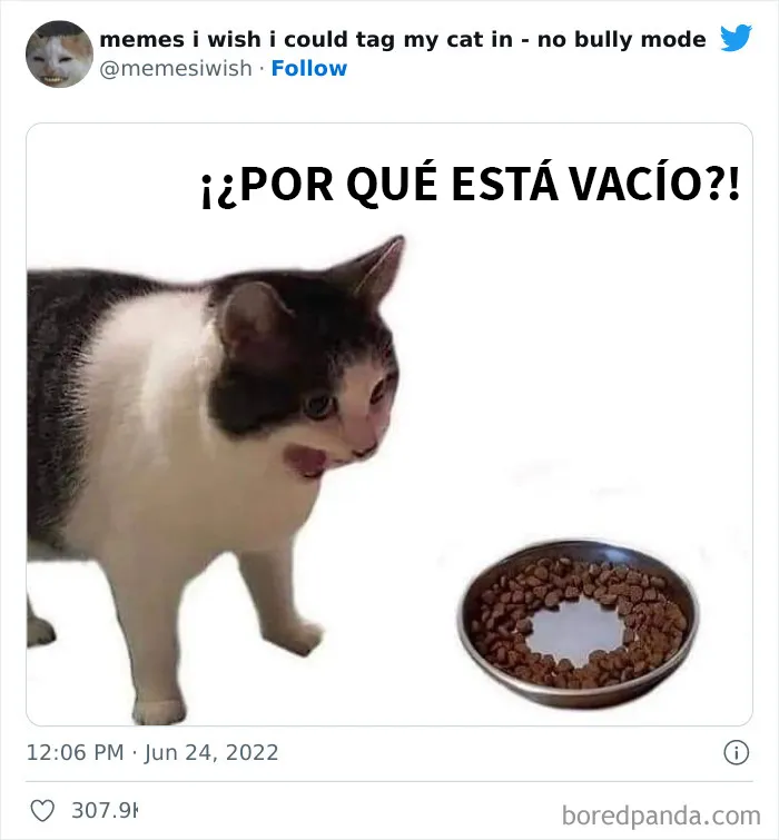20 “Memes en los que me gustaría poder etiquetar a mi gato” compartidos en esta cuenta de Twitter (imágenes nuevas)