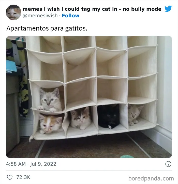 20 “Memes en los que me gustaría poder etiquetar a mi gato” compartidos en esta cuenta de Twitter (imágenes nuevas)