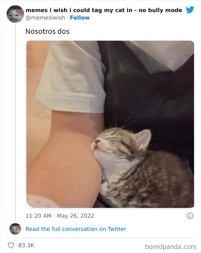 20 “Memes en los que me gustaría poder etiquetar a mi gato” compartidos en esta cuenta de Twitter (imágenes nuevas)