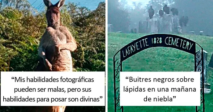 Este grupo de Facebook está dedicado a fotos cutres de fauna, y son tan malas que tienes que reírte (40 nuevas fotos)