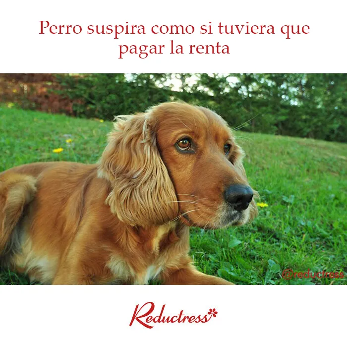 Esta falsa revista digital para mujeres comparte divertidísimos “artículos” con los que muchas podrán identificarse (Nuevas fotos)