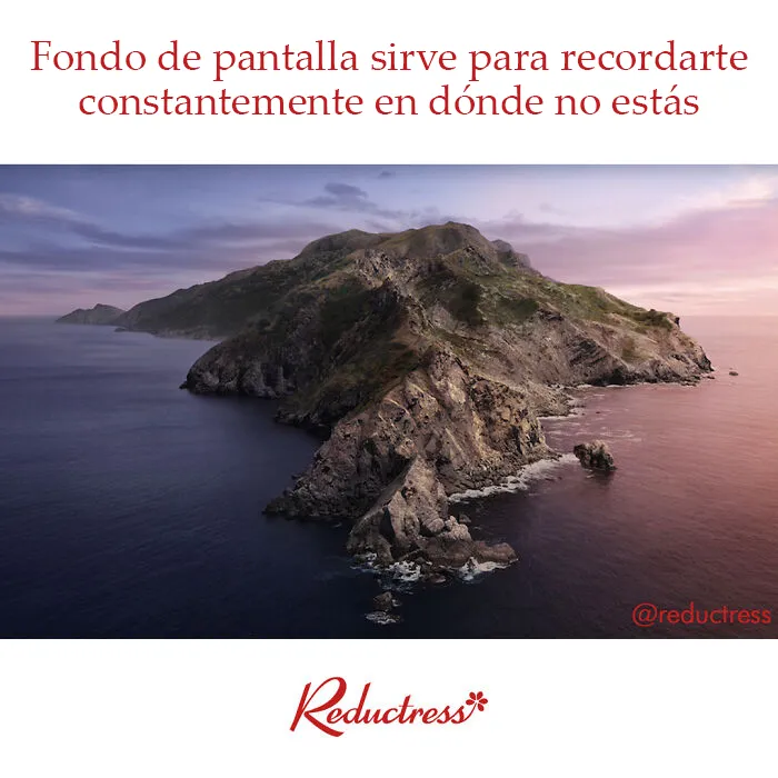 Esta falsa revista digital para mujeres comparte divertidísimos “artículos” con los que muchas podrán identificarse (Nuevas fotos)