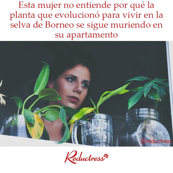 Esta falsa revista digital para mujeres comparte divertidísimos “artículos” con los que muchas podrán identificarse (Nuevas fotos)