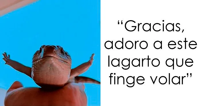 Estas 25 personas hallaron cosas muy conmovedoras y las compartieron en este grupo para alegrar el día de los demás