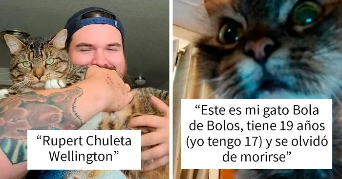 20 Nombres de mascotas muy disparatados, compartidos por los dueños en este hilo viral de Twitter