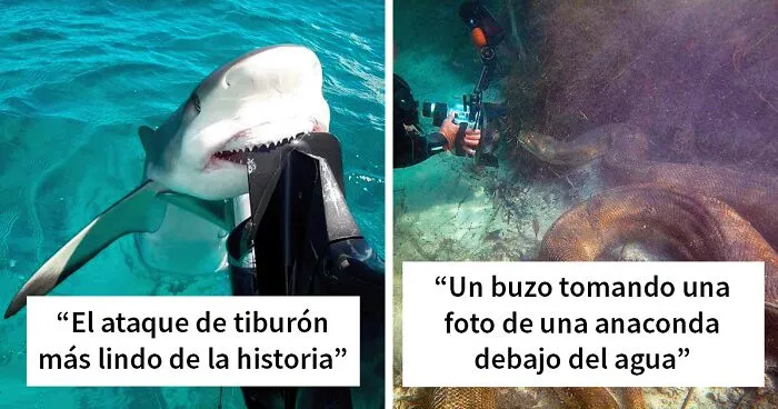 "El 71% de la superficie de la Tierra está cubierta por agua", y estas 40 fotos de las aguas profundas muestran lo que hay ahí