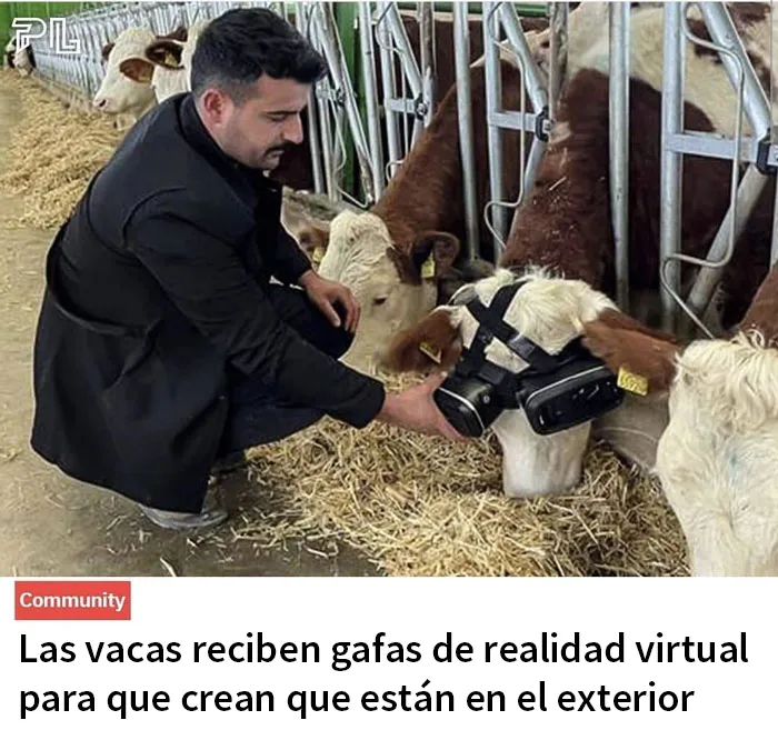 ''Humanos del capitalismo'': 20 fotos que miran al capitalismo desde una perspectiva sarcástica e irónica (nuevas fotos)
