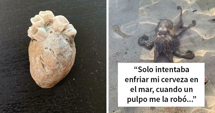 40 Cosas muy inesperadas, interesantes y extrañas que la gente encontró en la playa (nuevas fotos)