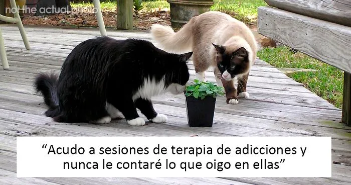 20 Cosas que nunca deberías compartir con tu pareja a pesar de lo unidos que estéis, si quieres que la relación dure