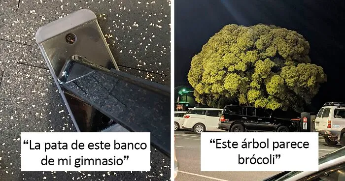 40 Personas que tuvieron que mirar las cosas 2 veces para darse cuenta de lo que eran (nuevas fotos)