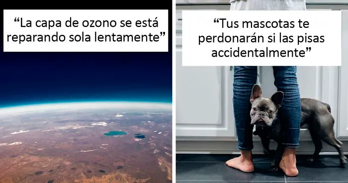 30 "Datos muy reconfortantes" compartidos por la gente