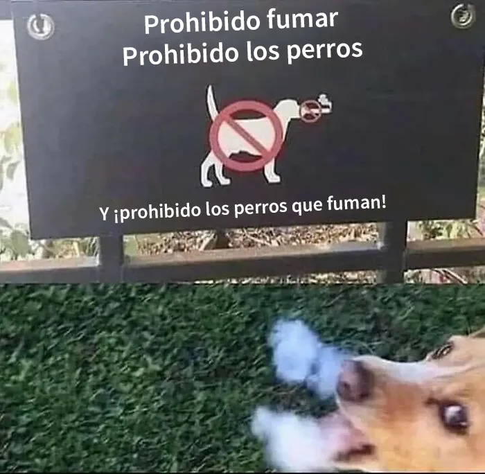"No son anuncios, pero....": 35 Divertidos memes sin contexto