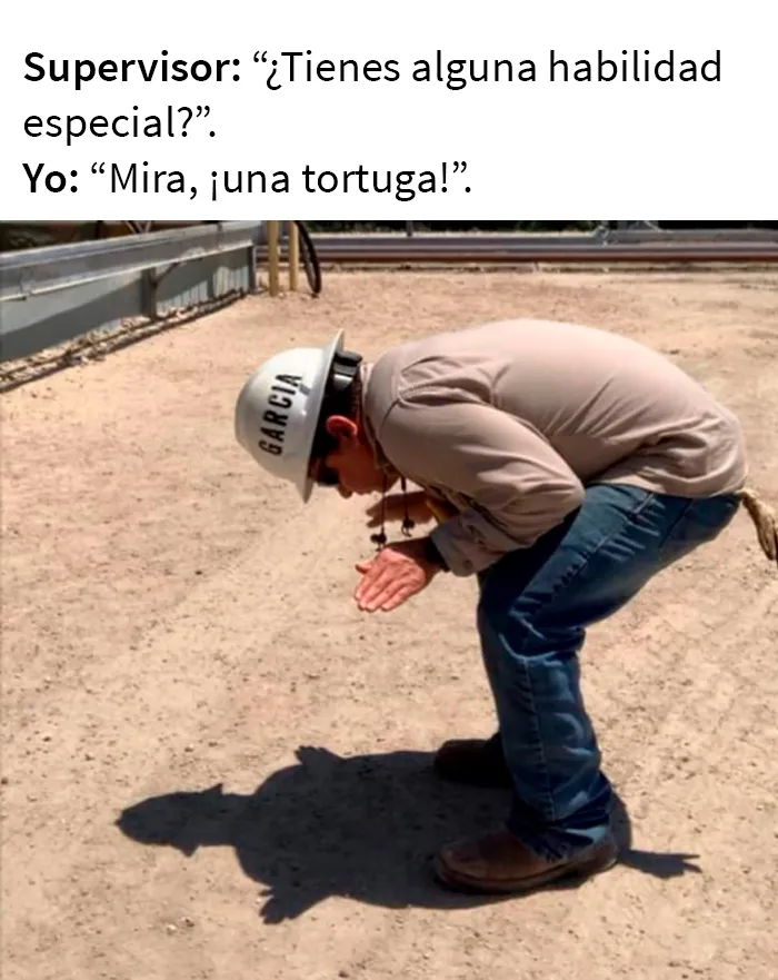 20 “Memes sobre el trabajo” para ayudarte con la jornada laboral