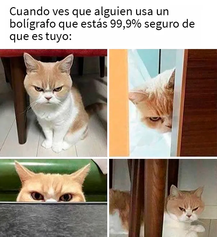 20 “Memes sobre el trabajo” para ayudarte con la jornada laboral