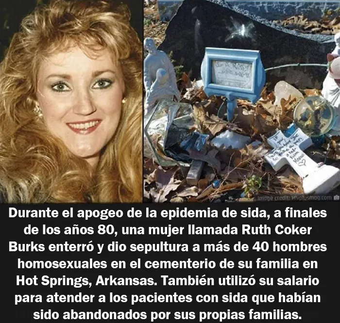 20 Hechos aleatorios que cuesta creer pero que son completamente ciertos, compartidos en esta cuenta enciclopédica de Instagram