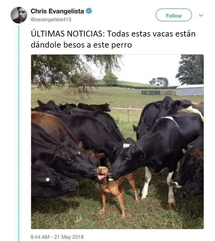 Este grupo de Facebook celebra a esos animales "adorables pero no", que quizá cambien tu opinión al respecto (25 fotos)