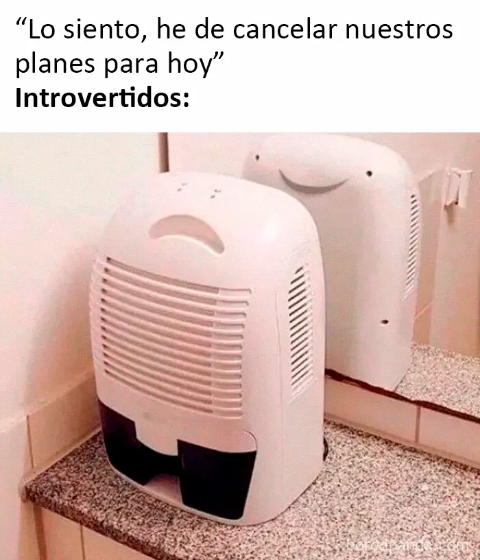 20 Memes dolorosamente divertidos sobre ser introvertidos, compartidos en este grupo online