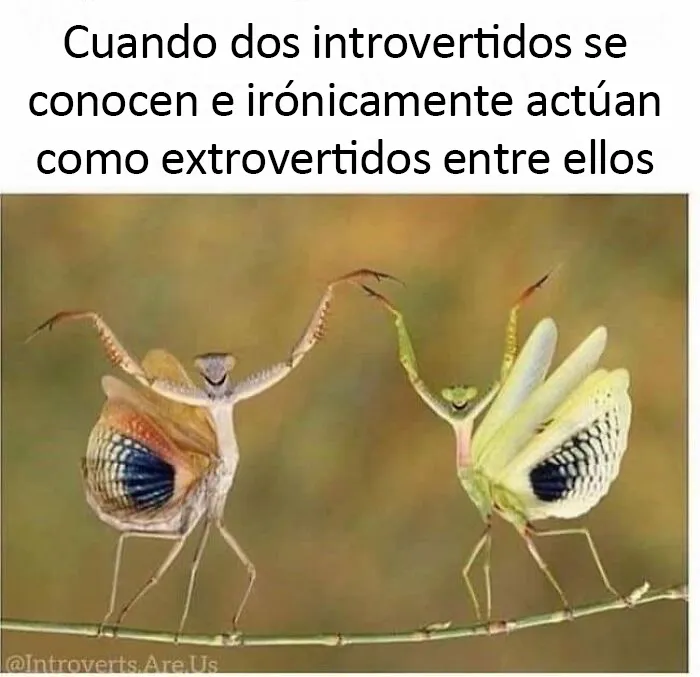 20 Memes dolorosamente divertidos sobre ser introvertidos, compartidos en este grupo online