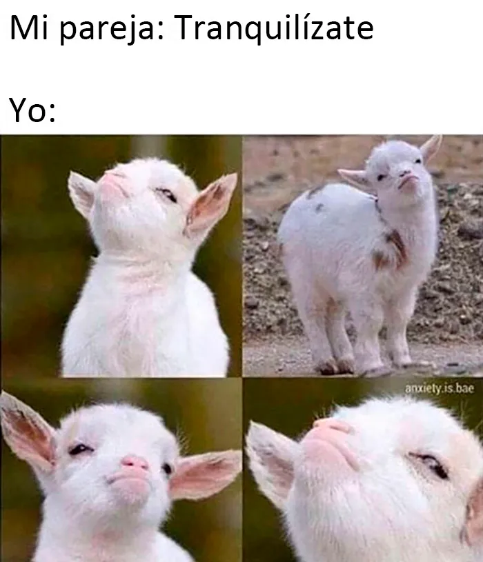 20 Divertidos memes sobre las relaciones de pareja compartidos en este grupo de FB