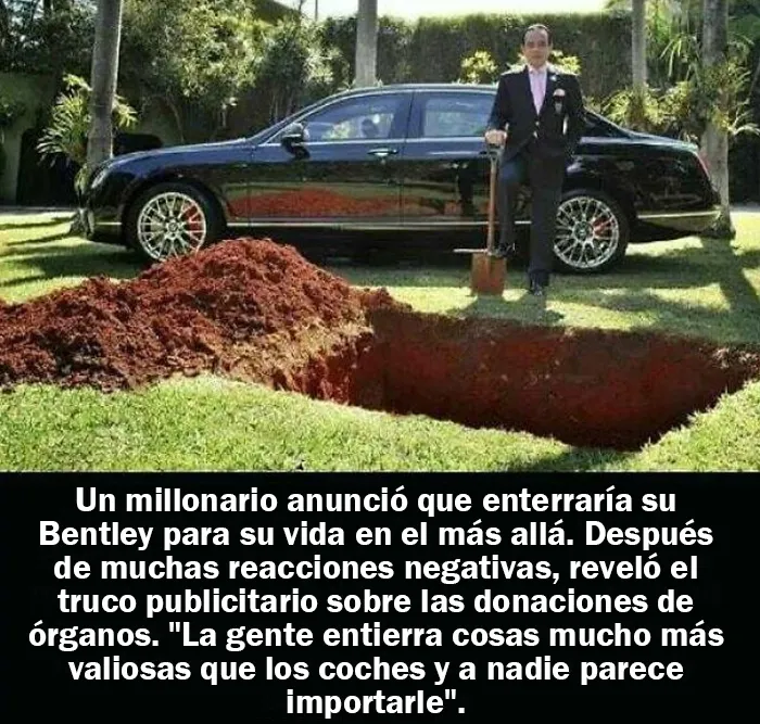 20 Hechos aleatorios que cuesta creer pero que son completamente ciertos, compartidos en esta cuenta enciclopédica de Instagram