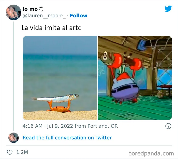 Este grupo de Facebook celebra a esos animales "adorables pero no", que quizá cambien tu opinión al respecto (25 fotos)