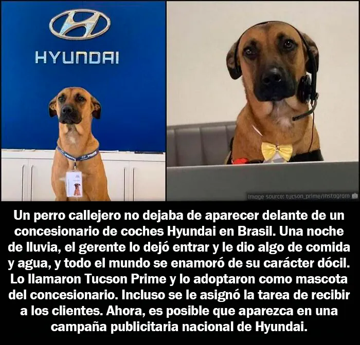 20 Hechos aleatorios que cuesta creer pero que son completamente ciertos, compartidos en esta cuenta enciclopédica de Instagram
