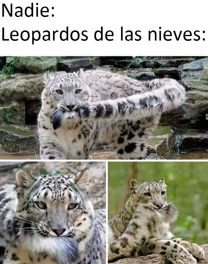 Este grupo de Facebook celebra a esos animales "adorables pero no", que quizá cambien tu opinión al respecto (25 fotos)