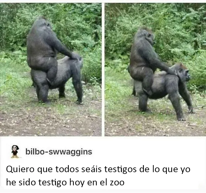Este grupo de Facebook celebra a esos animales "adorables pero no", que quizá cambien tu opinión al respecto (25 fotos)