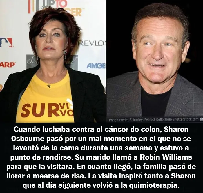 20 Hechos aleatorios que cuesta creer pero que son completamente ciertos, compartidos en esta cuenta enciclopédica de Instagram
