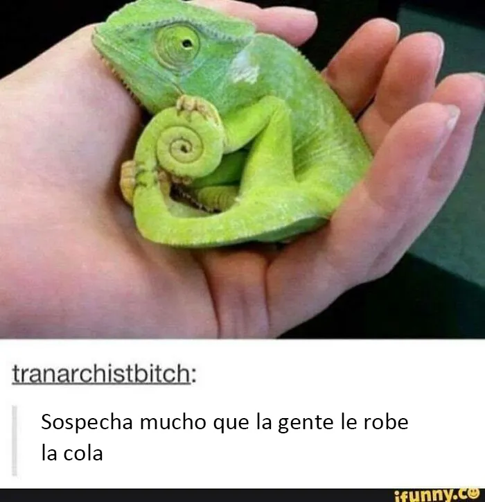 Este grupo de Facebook celebra a esos animales "adorables pero no", que quizá cambien tu opinión al respecto (25 fotos)