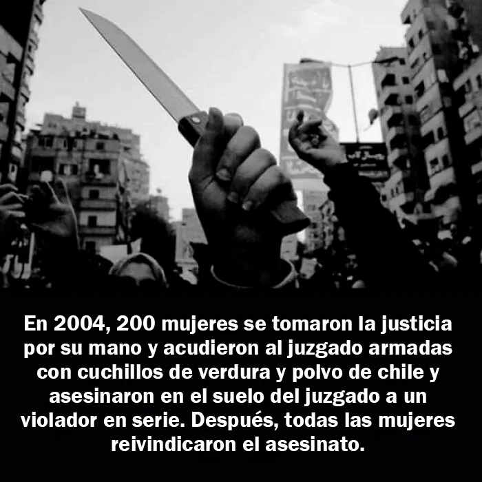 20 Hechos aleatorios que cuesta creer pero que son completamente ciertos, compartidos en esta cuenta enciclopédica de Instagram