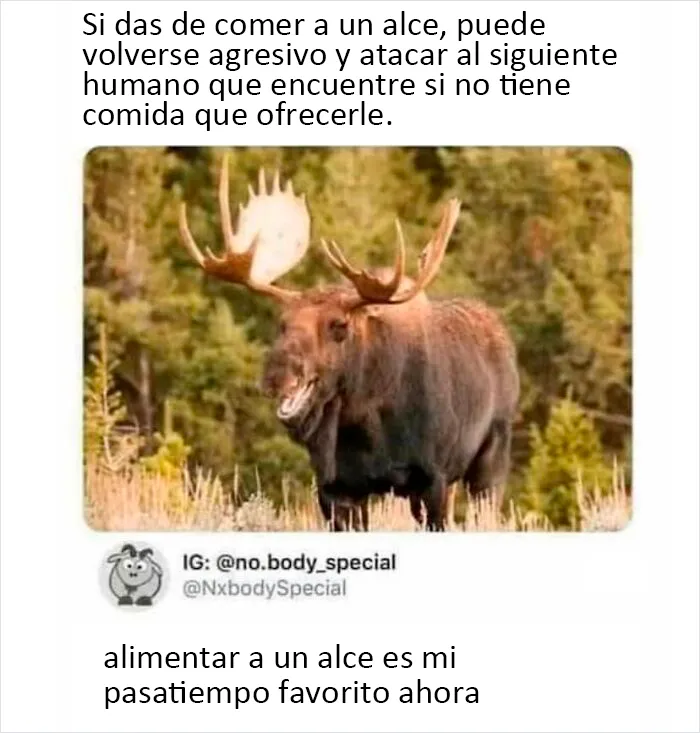 Este grupo de Facebook celebra a esos animales "adorables pero no", que quizá cambien tu opinión al respecto (25 fotos)