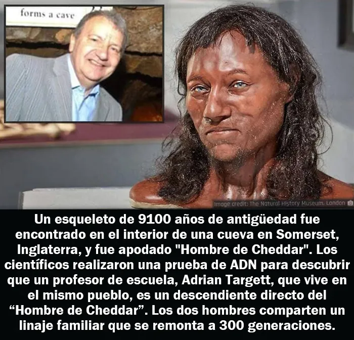 20 Hechos aleatorios que cuesta creer pero que son completamente ciertos, compartidos en esta cuenta enciclopédica de Instagram